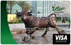 credit card with bronze bull