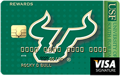 credit card with team bull logo